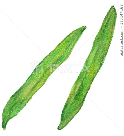 Green beans, green and yellow vegetables, oil pastel painting Green beans, green and yellow vegetables, oil pastel painting 135144168