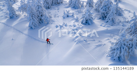 Ski mountaineer touring through a snow covered alpine forest in winter. Pristine landscape with frosted trees, deep snow, and soft winter light, expressing adventure, solitude, and freedom. Ski mountaineer touring through a snow covered alpine forest in winter. Pristine landscape with frosted trees, deep snow, and soft winter light, expressing adventure, solitude, and freedom. 135144189