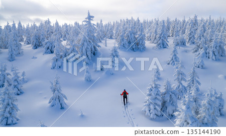 Ski mountaineer touring through a snow covered alpine forest in winter. Pristine landscape with frosted trees, deep snow, and soft winter light, expressing adventure, solitude, and freedom. Ski mountaineer touring through a snow covered alpine forest in winter. Pristine landscape with frosted trees, deep snow, and soft winter light, expressing adventure, solitude, and freedom. 135144190