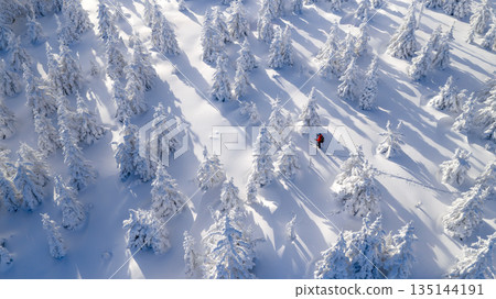 Ski mountaineer walking through a snow covered forest at sunrise. Golden light illuminates frosted trees, creating a peaceful winter adventure scene with strong sense of freedom and solitude. 135144191