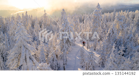 Ski mountaineer walking through a snow covered forest at sunrise. Golden light illuminates frosted trees, creating a peaceful winter adventure scene with strong sense of freedom and solitude. 135144192
