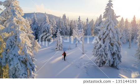 Ski mountaineer walking through a snow covered forest at sunrise. Golden light illuminates frosted trees, creating a peaceful winter adventure scene with strong sense of freedom and solitude. 135144193