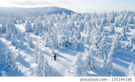 Ski mountaineer touring through a snow covered alpine forest in winter. Pristine landscape with frosted trees, deep snow, and soft winter light, expressing adventure, solitude, and freedom. 135144196
