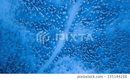 Top down aerial view of a winter forest with a snow covered road cutting through frosted trees. Minimalist composition with blue tones, natural patterns, and a serene, untouched atmosphere. 135144288