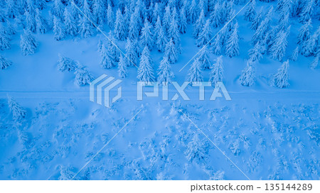 Top down aerial view of a winter forest with a snow covered road cutting through frosted trees. Minimalist composition with blue tones, natural patterns, and a serene, untouched atmosphere. 135144289