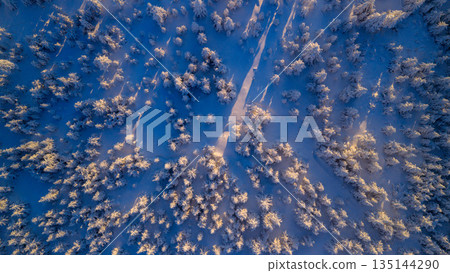 Top down aerial view of a snow covered evergreen forest in winter. Frosted pine trees form a natural abstract pattern, creating a serene, cold, and atmospheric winter landscape. Top down aerial view of a snow covered evergreen forest in winter. Frosted pine trees form a natural abstract pattern, creating a serene, cold, and atmospheric winter landscape. 135144290