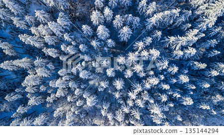 Top down aerial view of a snow covered evergreen forest in winter. Frosted pine trees form a natural abstract pattern, creating a serene, cold, and atmospheric winter landscape. Top down aerial view of a snow covered evergreen forest in winter. Frosted pine trees form a natural abstract pattern, creating a serene, cold, and atmospheric winter landscape. 135144294