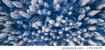 Top down aerial view of a snow covered evergreen forest in winter. Frosted pine trees form a natural abstract pattern, creating a serene, cold, and atmospheric winter landscape. Top down aerial view of a snow covered evergreen forest in winter. Frosted pine trees form a natural abstract pattern, creating a serene, cold, and atmospheric winter landscape. 135144295