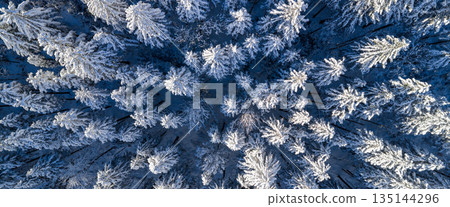 Top down aerial view of a snow covered evergreen forest in winter. Frosted pine trees form a natural abstract pattern, creating a serene, cold, and atmospheric winter landscape. Top down aerial view of a snow covered evergreen forest in winter. Frosted pine trees form a natural abstract pattern, creating a serene, cold, and atmospheric winter landscape. 135144296