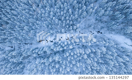 Aerial top down view of a snow covered winter forest with a frozen stream cutting through frosted pine trees. Minimal, serene winter landscape captured by drone in cold blue tones. Aerial top down view of a snow covered winter forest with a frozen stream cutting through frosted pine trees. Minimal, serene winter landscape captured by drone in cold blue tones. 135144297