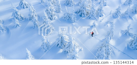 Ski mountaineer touring through a snow covered alpine forest in winter. Pristine landscape with frosted trees, deep snow, and soft winter light, expressing adventure, solitude, and freedom. Ski mountaineer touring through a snow covered alpine forest in winter. Pristine landscape with frosted trees, deep snow, and soft winter light, expressing adventure, solitude, and freedom. 135144314