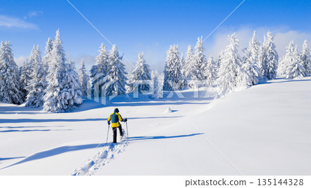 Snowshoe hiker walking through a wide snow covered winter landscape with frosted evergreen trees under a clear blue sky. Peaceful alpine scenery expressing solitude, freedom, and untouched nature. Snowshoe hiker walking through a wide snow covered winter landscape with frosted evergreen trees under a clear blue sky. Peaceful alpine scenery expressing solitude, freedom, and untouched nature. 135144328