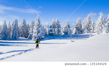 Snowshoe hiker walking through a wide snow covered winter landscape with frosted evergreen trees under a clear blue sky. Peaceful alpine scenery expressing solitude, freedom, and untouched nature. Snowshoe hiker walking through a wide snow covered winter landscape with frosted evergreen trees under a clear blue sky. Peaceful alpine scenery expressing solitude, freedom, and untouched nature. 135144329