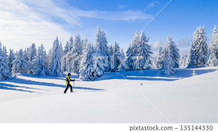 Snowshoe hiker walking through a wide snow covered winter landscape with frosted evergreen trees under a clear blue sky. Peaceful alpine scenery expressing solitude, freedom, and untouched nature. 135144330