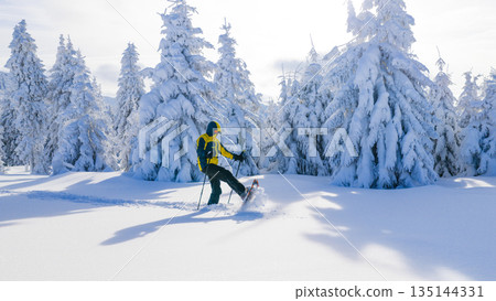 Young man snowshoe hiking through deep fresh snow in a winter forest. Dynamic movement in a frost covered landscape, capturing adventure, freedom, and active outdoor lifestyle. 135144331