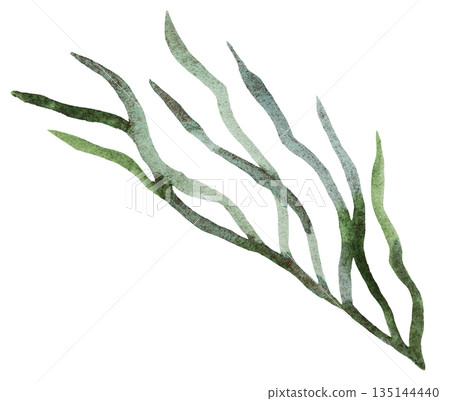 Watercolor twig with light green leaves isolated illustration, pastel wedding stationery element 135144440