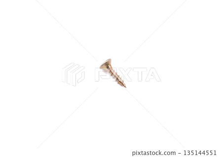 Scattered wood screws isolated on white background Scattered wood screws isolated on white background 135144551