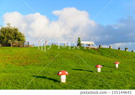 紐西蘭奧克蘭維多利亞山的優美景色 紐西蘭奧克蘭維多利亞山的優美景色 135144641