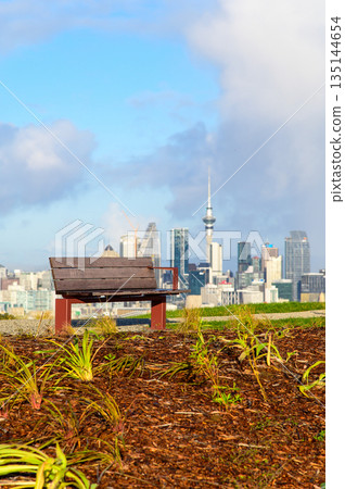 Beautiful scenery of Mount Victoria in Auckland, New Zealand 135144654