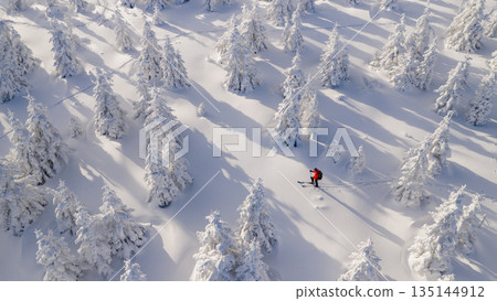 Beautiful Winter Mountain Panorama with Snowy Spruce Trees and Peaks in the Background Beautiful Winter Mountain Panorama with Snowy Spruce Trees and Peaks in the Background 135144912
