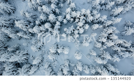Beautiful Winter Forest Mountain Scenery with Snowy Trees , Top Down View Beautiful Winter Forest Mountain Scenery with Snowy Trees , Top Down View 135144920
