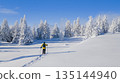 Beautiful Winter Mountain Scenery with Man on Snowshoes , Aerial 135144940