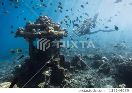 Tropical fishes swimming around an underwater temple in clear blue ocean and silhouette of diver Tropical fishes swimming around an underwater temple in clear blue ocean and silhouette of diver 135144989