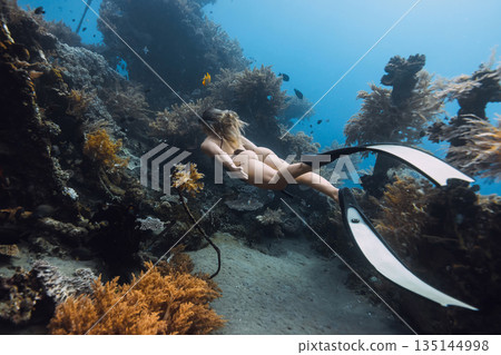 Woman freediving near coral reef underwater, marine life and wreck in tropical ocean Woman freediving near coral reef underwater, marine life and wreck in tropical ocean 135144998