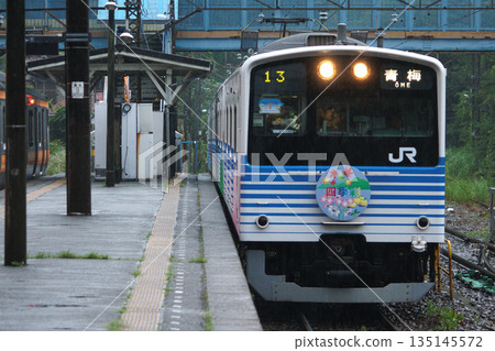 Ome Line 201 Series Shikisai (last train on the last day of regular service: 17:12) Ome Line 201 Series Shikisai (last train on the last day of regular service: 17:12) 135145572