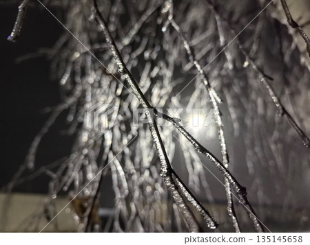 Nighttime branches adorned with sparkling ice in a quiet winter landscape 135145658