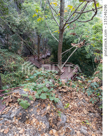 Winding Wooden Steps of Nature Trail in Dense National Park Forest. 135146296
