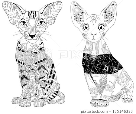 Set of stylized cats for coloring book. Hand Drawn lace vector illustration Set of stylized cats for coloring book. Hand Drawn lace vector illustration 135146353