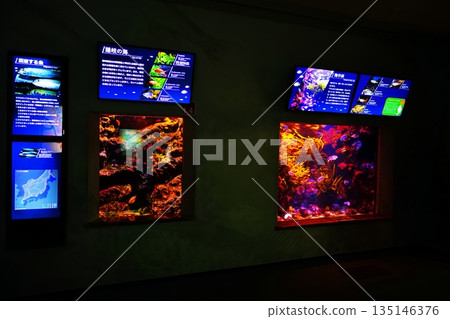 水族館風景 水族館風景 135146376