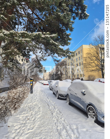 Heavy Snow-Covered City Street with Buried Parked Cars on a Sunny Winter Day 135147205