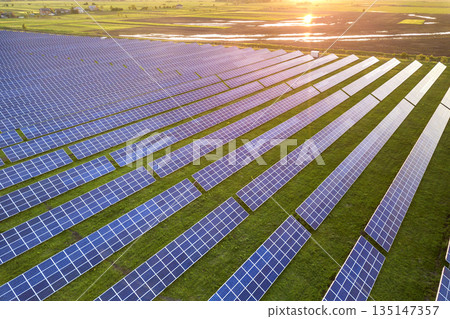 Blue solar photo voltaic panels system producing renewable clean energy on rural landscape and setting sun background. Blue solar photo voltaic panels system producing renewable clean energy on rural landscape and setting sun background. 135147357