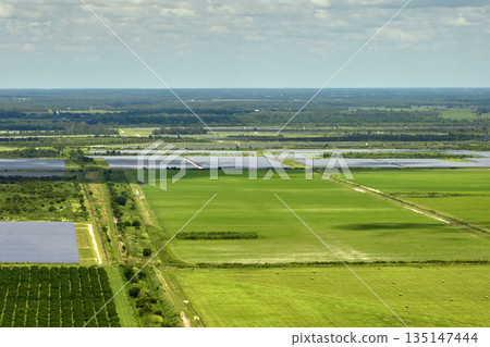 Aerial view of sustainable electric power plant between agricultural farm fields with solar photovoltaic panels for producing clean electrical energy. Renewable electricity with zero emission concept Aerial view of sustainable electric power plant between agricultural farm fields with solar photovoltaic panels for producing clean electrical energy. Renewable electricity with zero emission concept 135147444