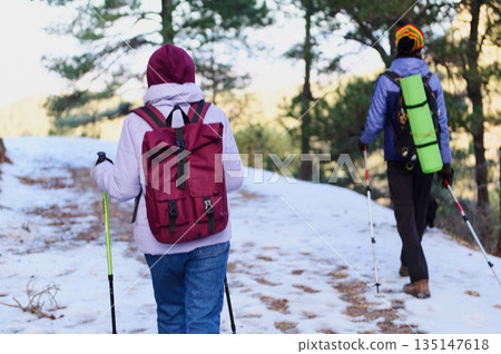 Two Hikers With Backpacks Trekking Through Snowy Forest Trail With Trekking Poles Two Hikers With Backpacks Trekking Through Snowy Forest Trail With Trekking Poles 135147618