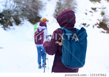 Winter Trekking With Backpacks: Outdoor Snowy Hike For Friends And Family 135147662