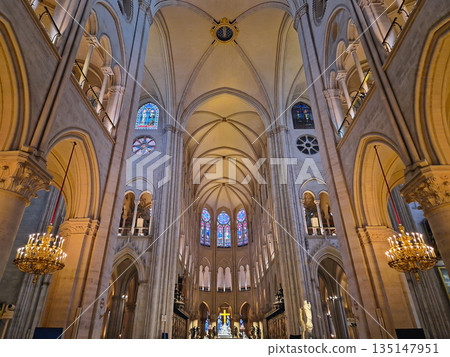 Paris, France - December 10, 2025: Interior of Notre-Dame Cathedral after restoration. View looking up to the soaring vaulted ceiling. Golden chandeliers and stained glass windows line the nave Paris, France - December 10, 2025: Interior of Notre-Dame Cathedral after restoration. View looking up to the soaring vaulted ceiling. Golden chandeliers and stained glass windows line the nave 135147951