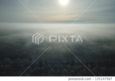Aerial view of snow covered white forest with frozen trees in cold winter. Dense wild woodland in wintertime 135147987