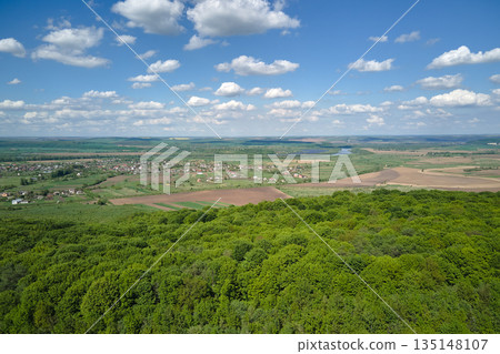 Aerial view of dark green lush forest with dense trees canopies in summer 135148107