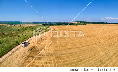Aerial view of cargo trucks on dirt road between agricultural wheat fields. Transportation of grain after being harvested by combine harvester during harvesting season 135148116
