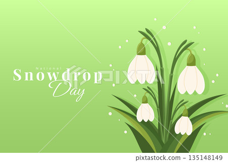 National snowdrop day poster with white flowers on green background vector illustration. 135148149