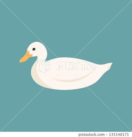 White duck on blue background. Vector illustration White duck on blue background. Vector illustration 135148171