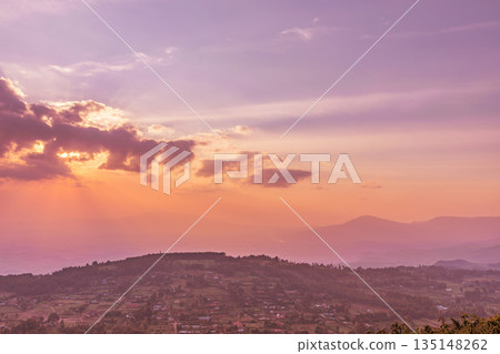 Kenya Landscapes Fields Meadows Plants Vegetation Maasai Mara National Game Reserve Park Kenya Landscapes Fields Meadows Plants Vegetation Maasai Mara National Game Reserve Park 135148262