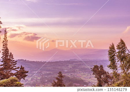 Kenya Landscapes Fields Meadows Plants Vegetation Maasai Mara National Game Reserve Park Kenya Landscapes Fields Meadows Plants Vegetation Maasai Mara National Game Reserve Park 135148279