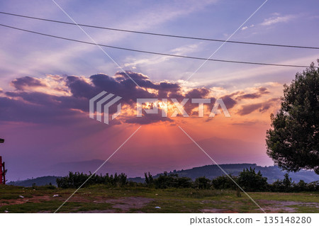 Kenya Landscapes Fields Meadows Plants Vegetation Maasai Mara National Game Reserve Park Kenya Landscapes Fields Meadows Plants Vegetation Maasai Mara National Game Reserve Park 135148280