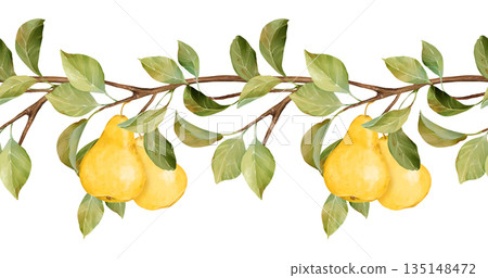 Hand-drawn illustration of a seamless horizontal border with yellow pears hanging from a leafy brown branch. This natural design is perfect for autumn themes, food packaging, and decorative elements 135148472