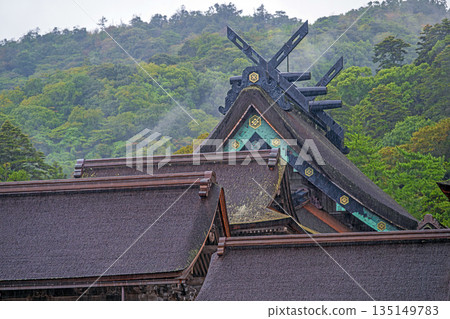 Izumo Taisha Shrine in the Rain, Shimane Prefecture, National Treasure Main Hall 135149783
