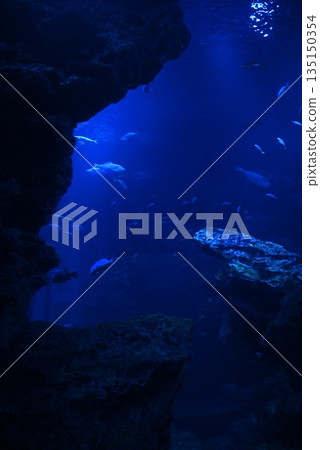 深海景色 135150354